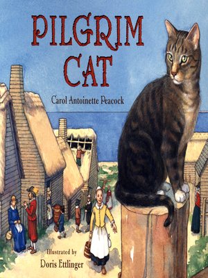cover image of Pilgrim Cat